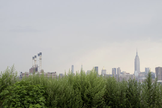 Manhattan Skyline from Williamsburg, BKLYN