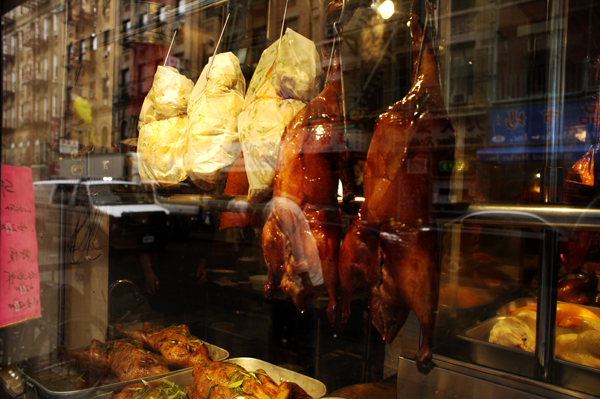 Ducks for display, Chinatown, NYC