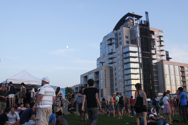 Jelly NYC, Williamsburg, Brooklyn