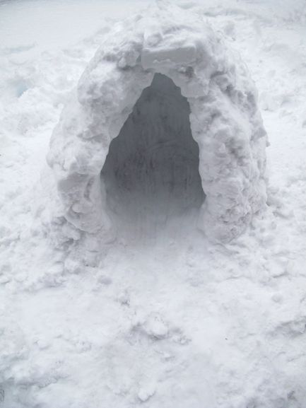 Igloo01_20110129_TT