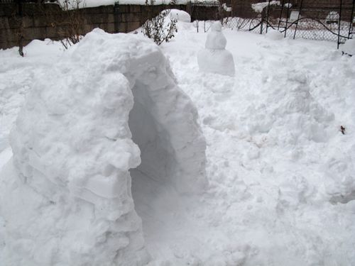 Igloo04a_20110129_TT