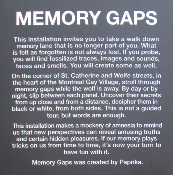 MemoryGaps_20130801Montreal_TT.JPG