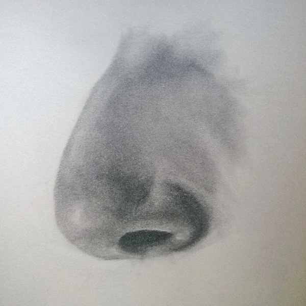 10919182_1781750655383329_635620662_n