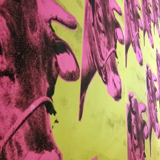 11005180_1546759462240102_2023295118_n