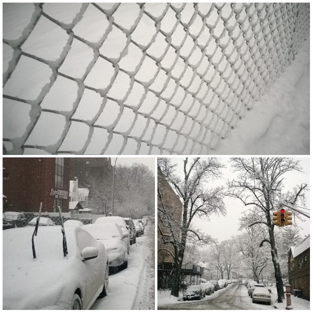 11032981_1634523100108799_294274461_n