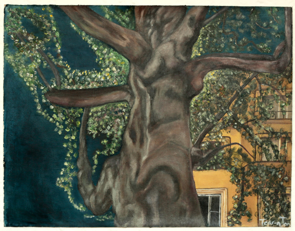 tree_canalstmartin_20160922par_tt